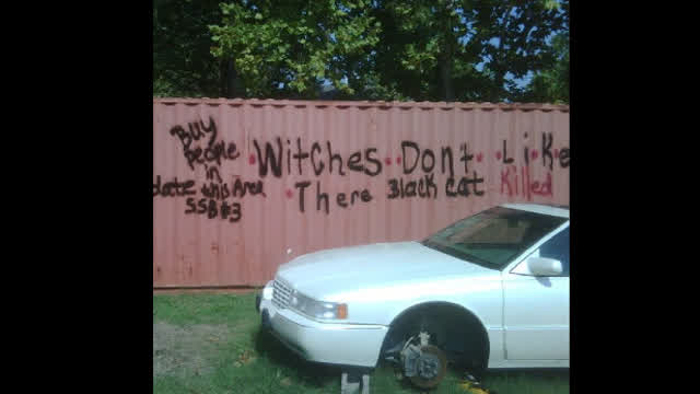 Witches Don't LiKe There BlacK cat Killed (ALBUM) Witches Don't LiKe There BlacK cat Killed (ALBUM)