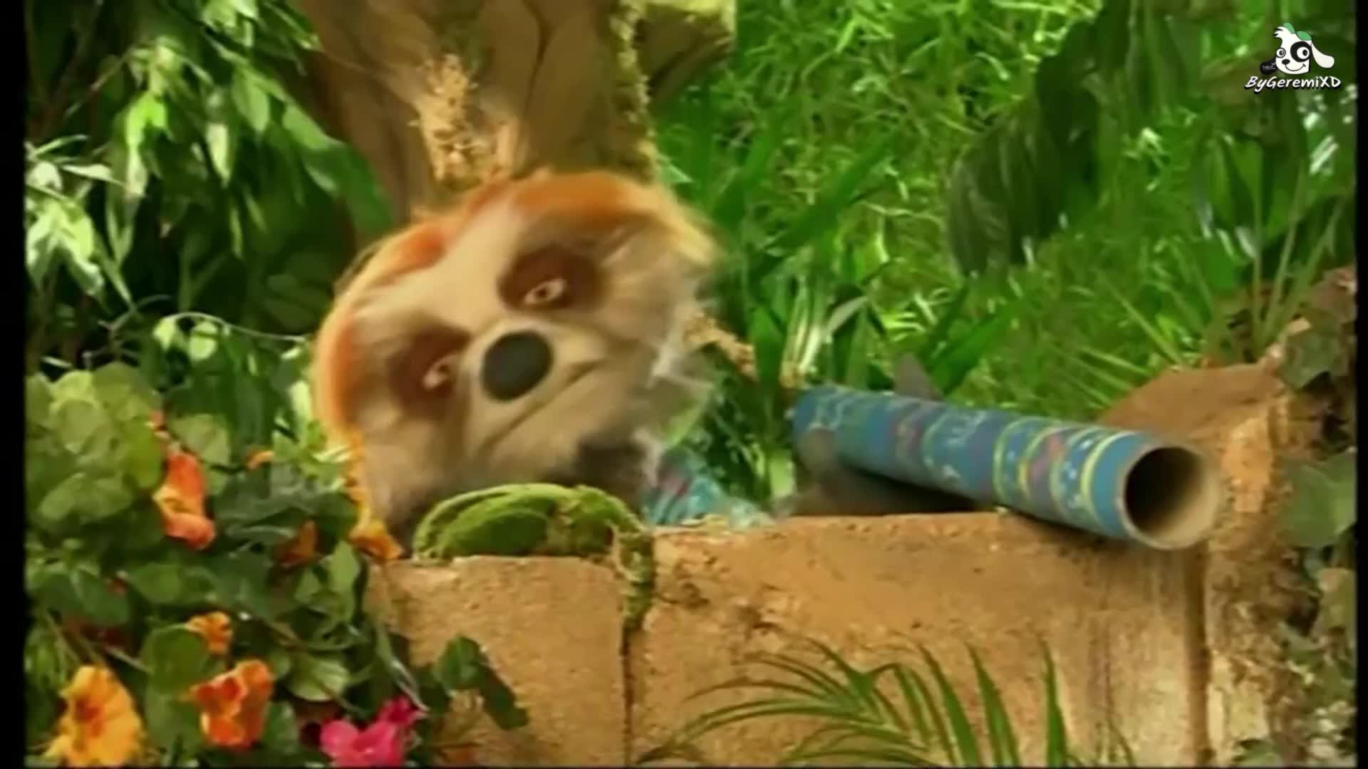 ZingZillas ZingBaile - Cancion del Didgeridoo (Emision en MiTV/CBeebies) || ByGeremiXD