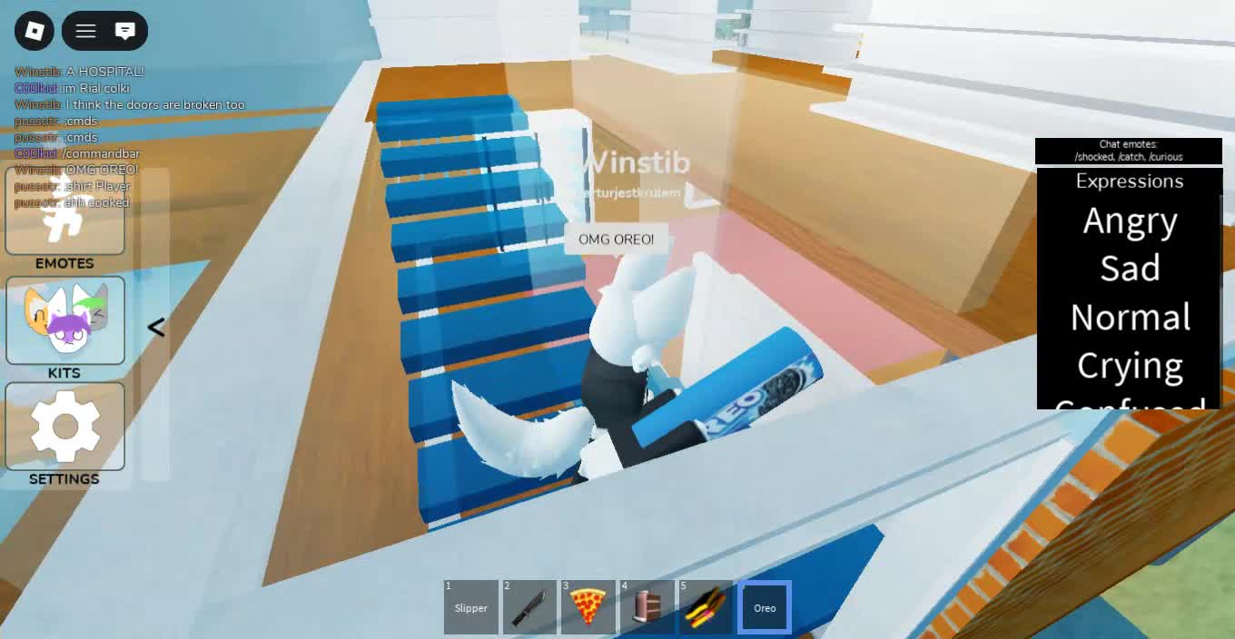 Roblox-2026-01-06T11_32_14.021Z