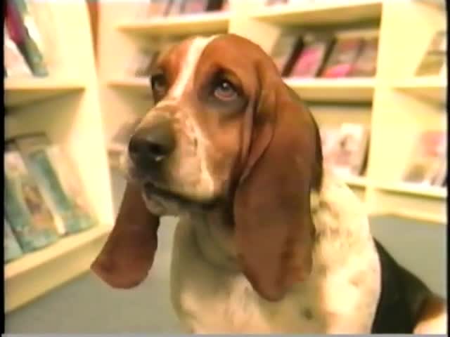 All Dogs Go To Heaven 1990 Promotional Featurette from Screener VHS