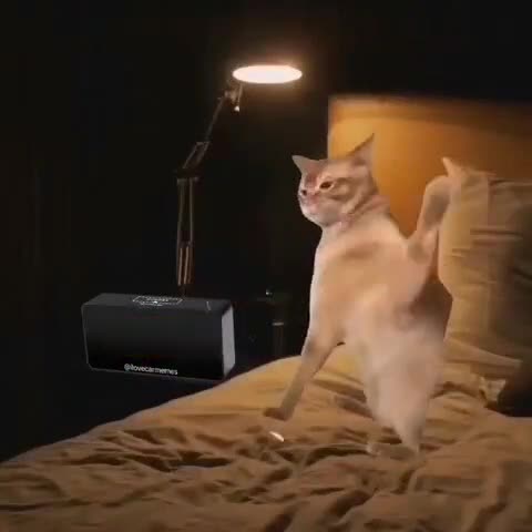 Wake me up in 9000 years