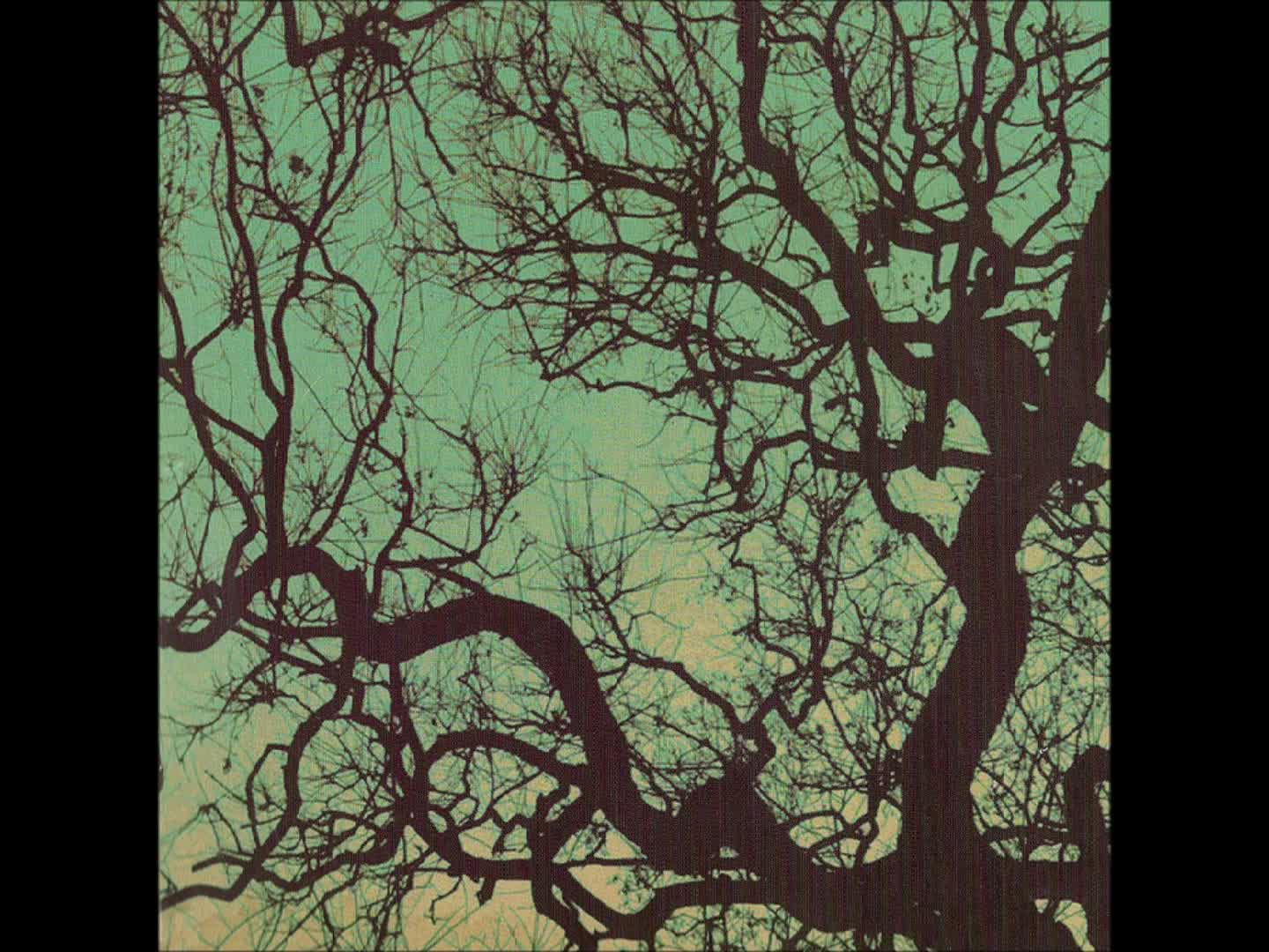 Föllakzoid - Sky Input Pt 2