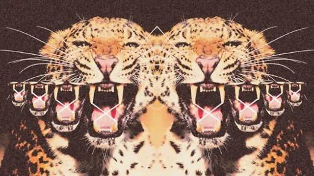 its not giving up but learning when to give up. its not giving up but learning when to give up.