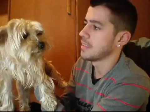 Feliz ano