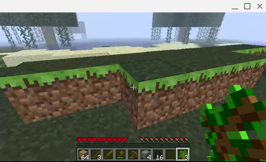 Minecraft01
