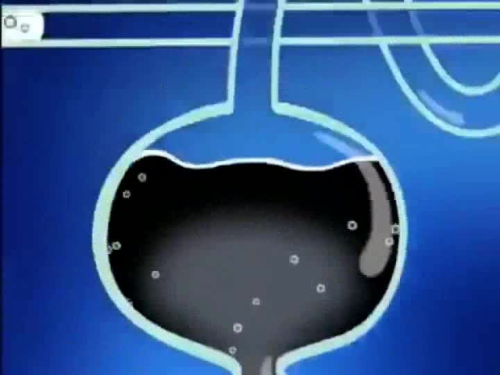 Cartoon Network - Powerhouse Next Bump - Jacobs Group Wave 1 [FANMADE]