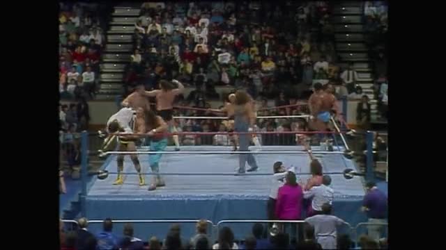 Royal Rumble 1988 - Royal Rumble Match