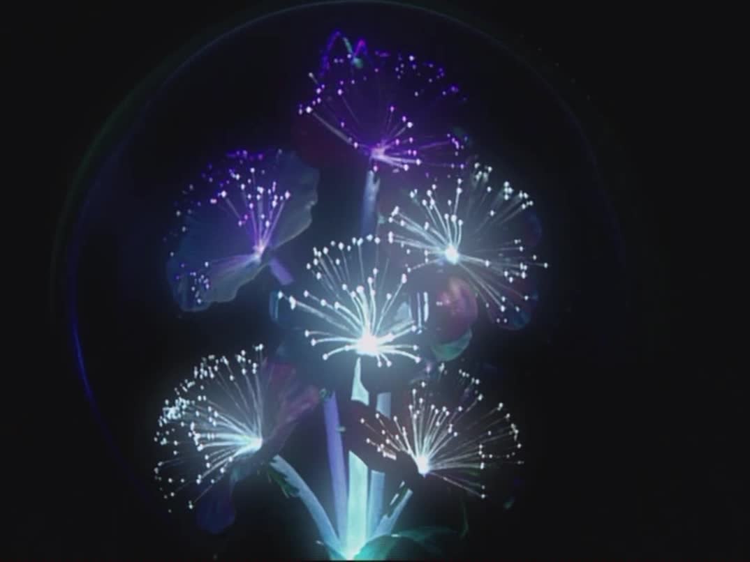 Baby Mozart 2004 DVD