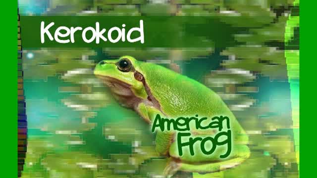 Kerokoid - American Frog
