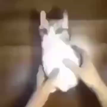 death-1