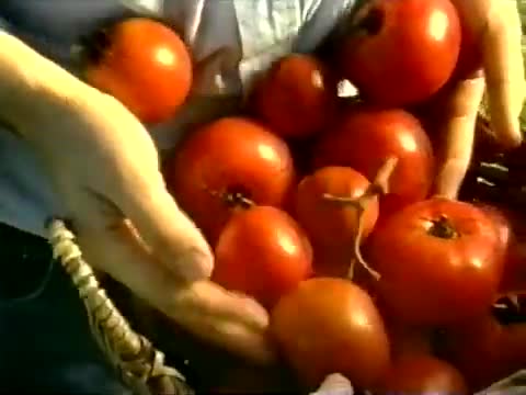 Weird Al Yankovic, Seeds of Change - Old MacDonald