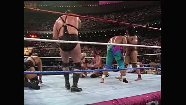 Royal Rumble 1990 - Royal Rumble Match (2)