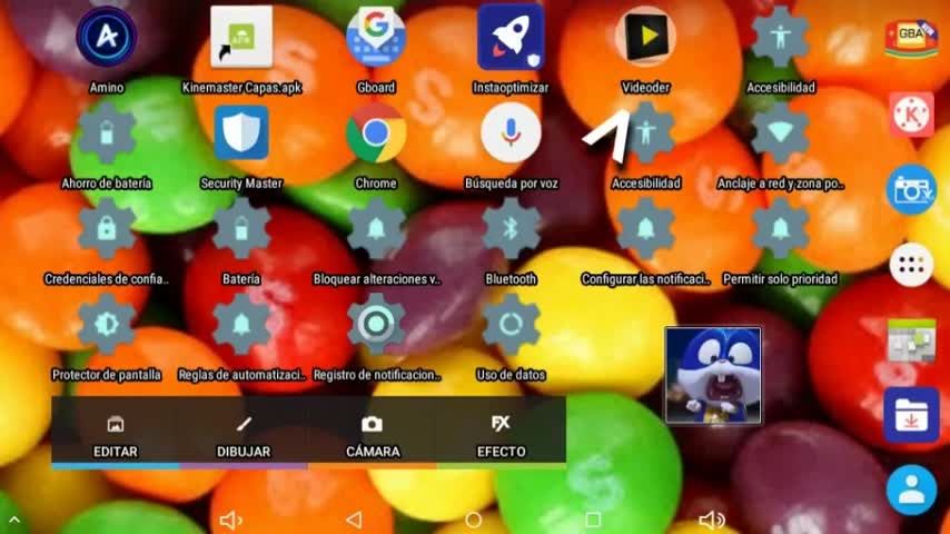 Tag YouTube Loquendo