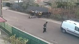 NPC in the middle of the road NPC in the middle of the road