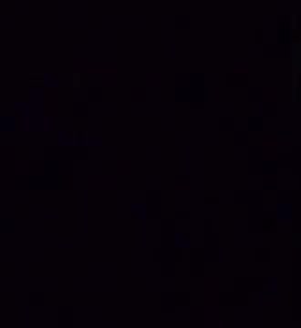 ¿Qué estás viendo hijo de la verga?