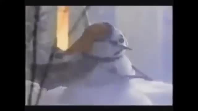 Home Alone Is The Best Christmas Movie  - The Sandwich