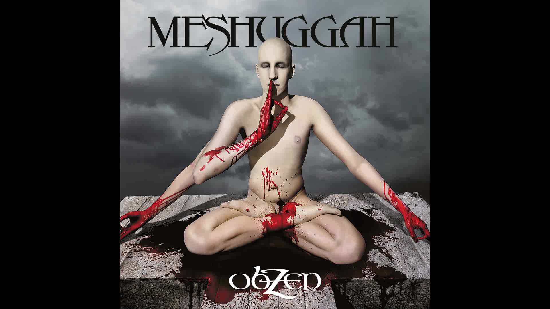 Meshuggah - This Spiteful Snake