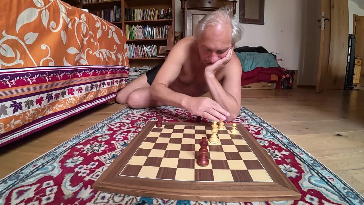 Taktik im Springerendspiel – by Peter Krug