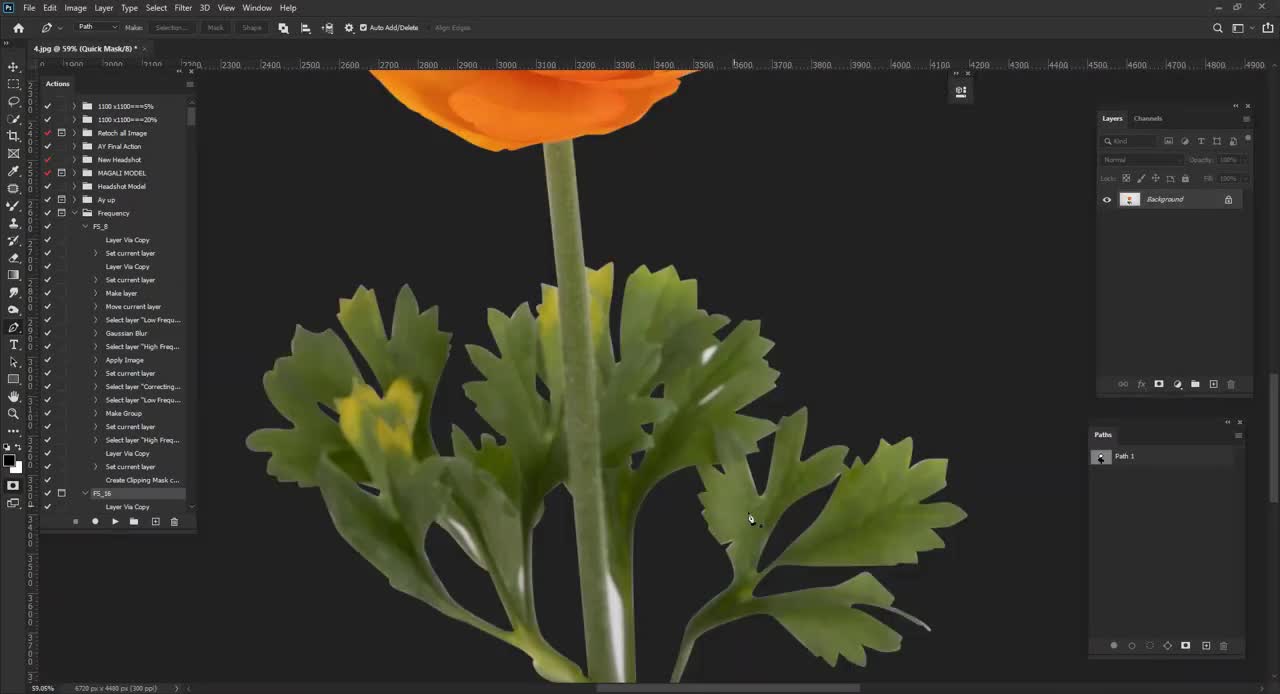 Quick Way to Remove Background in Photoshop