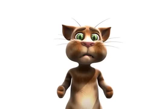 Léo Le Chat te réveille.flv