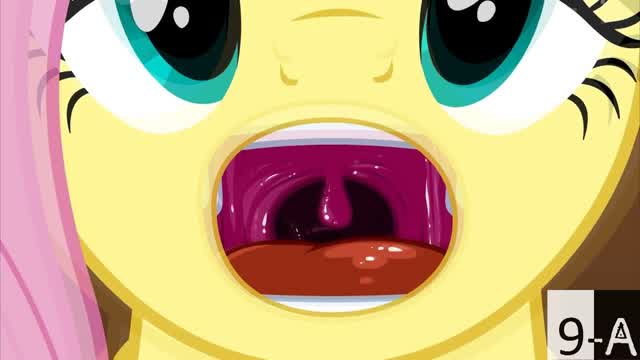 Fluttershy se come la camara