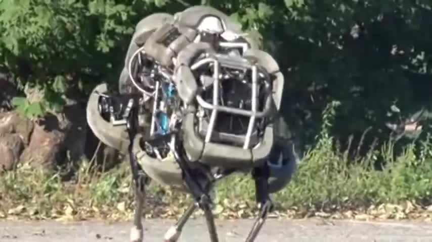 [YTPMV] turbocat [dinoderp]