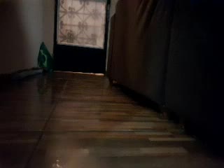 Ensaio do comício de Exemplo Agostinho 15