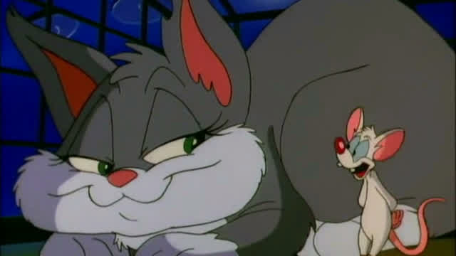 Pinky and the Cat (Spanish Dub)