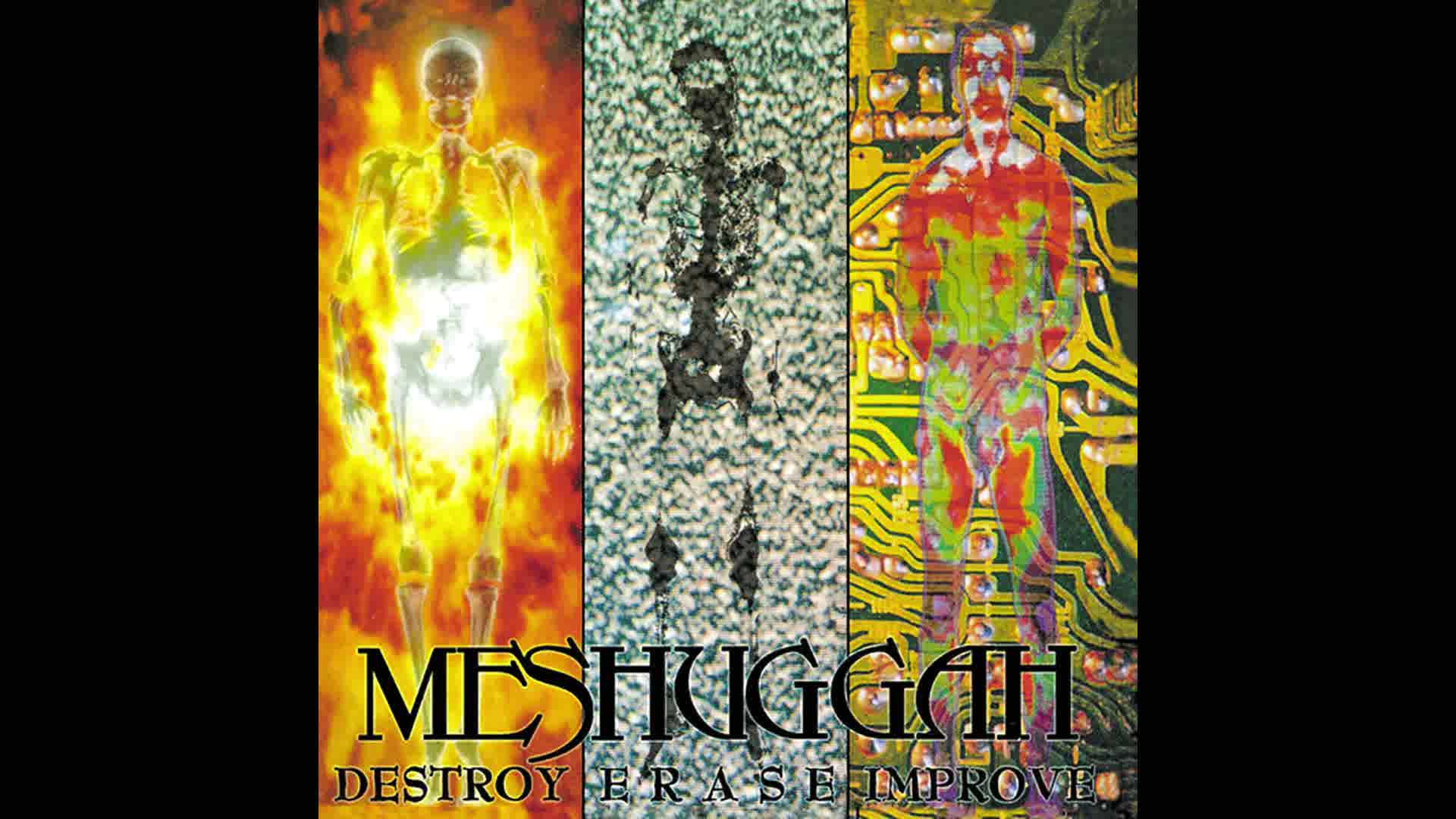 Meshuggah - Acrid Placidity