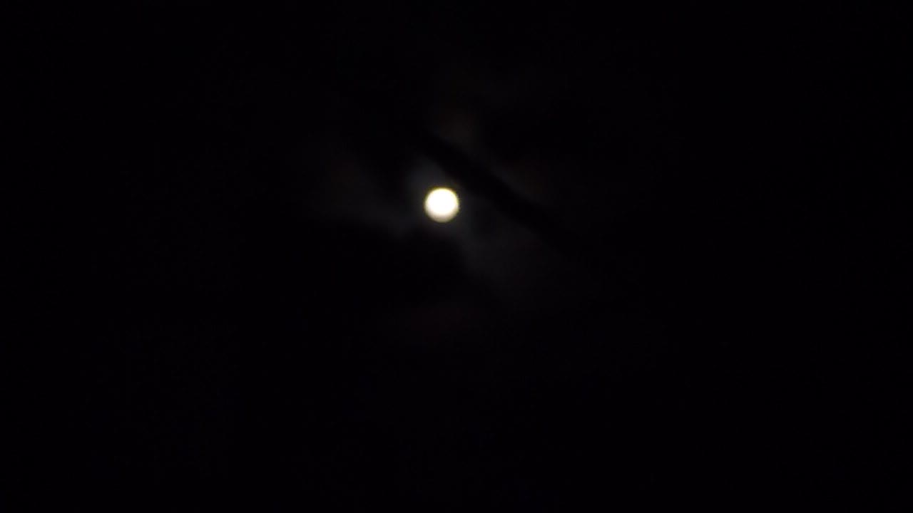 the moon is quite bright today
