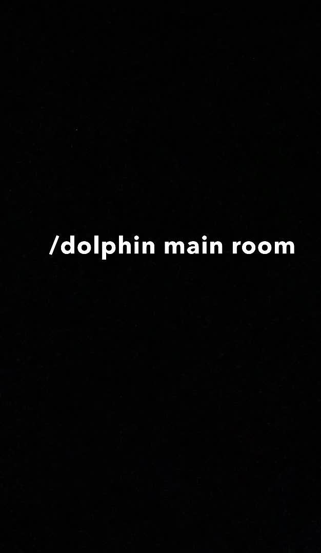 /dolphin on BonziWORLD is cool