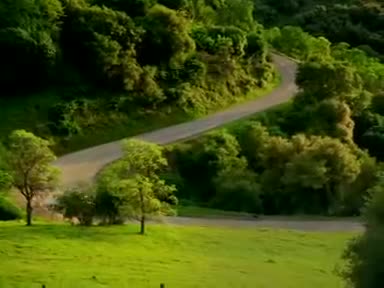 Relaxing Car Drive 480p