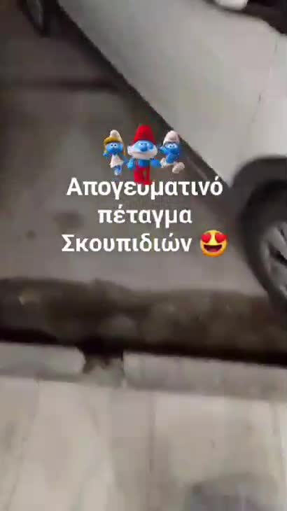 Απογευματινό πέταγμα Σκουπιδιών 😍