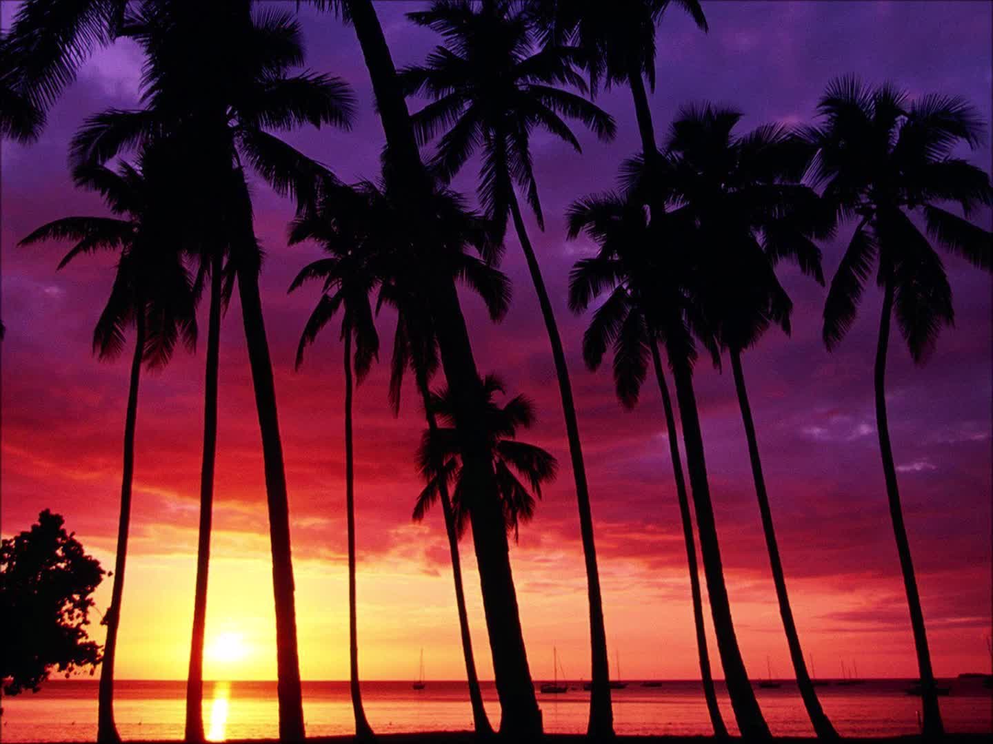 Atomic Inc - Tropical [Bass Piratez Edit]