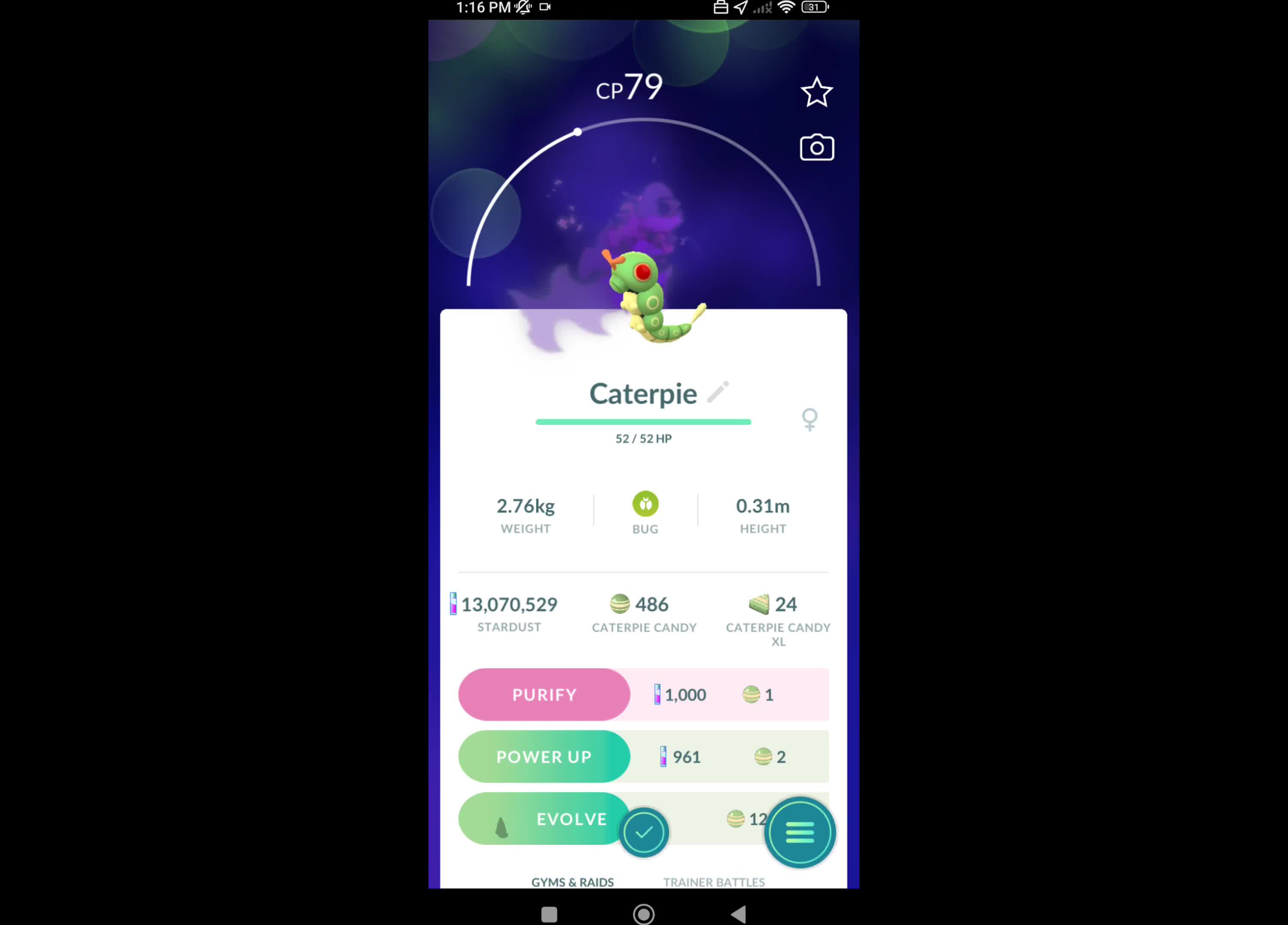 Pokémon GO-Purifying Shadow Caterpie