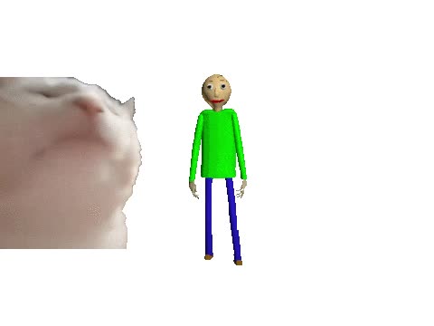 Ho sin shi