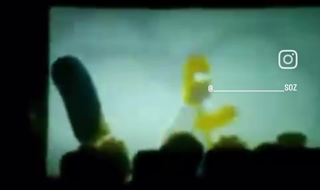 The type of movies you'll get when you buy dvds from a shady man The type of movies you'll get when you buy dvds from a shady man