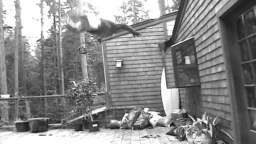 My First Flip/stunt montage! My First Flip/stunt montage!