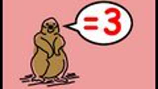 OMG! Woodchuck!