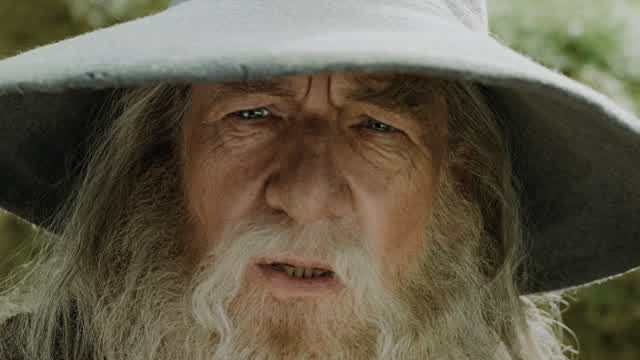 Gandalf the Gay! Gandalf the Gay!