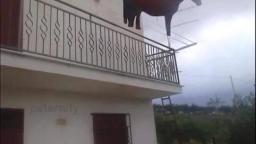 Primer video (no se que subir)