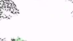 i miss the old vidlii i miss the old vidlii