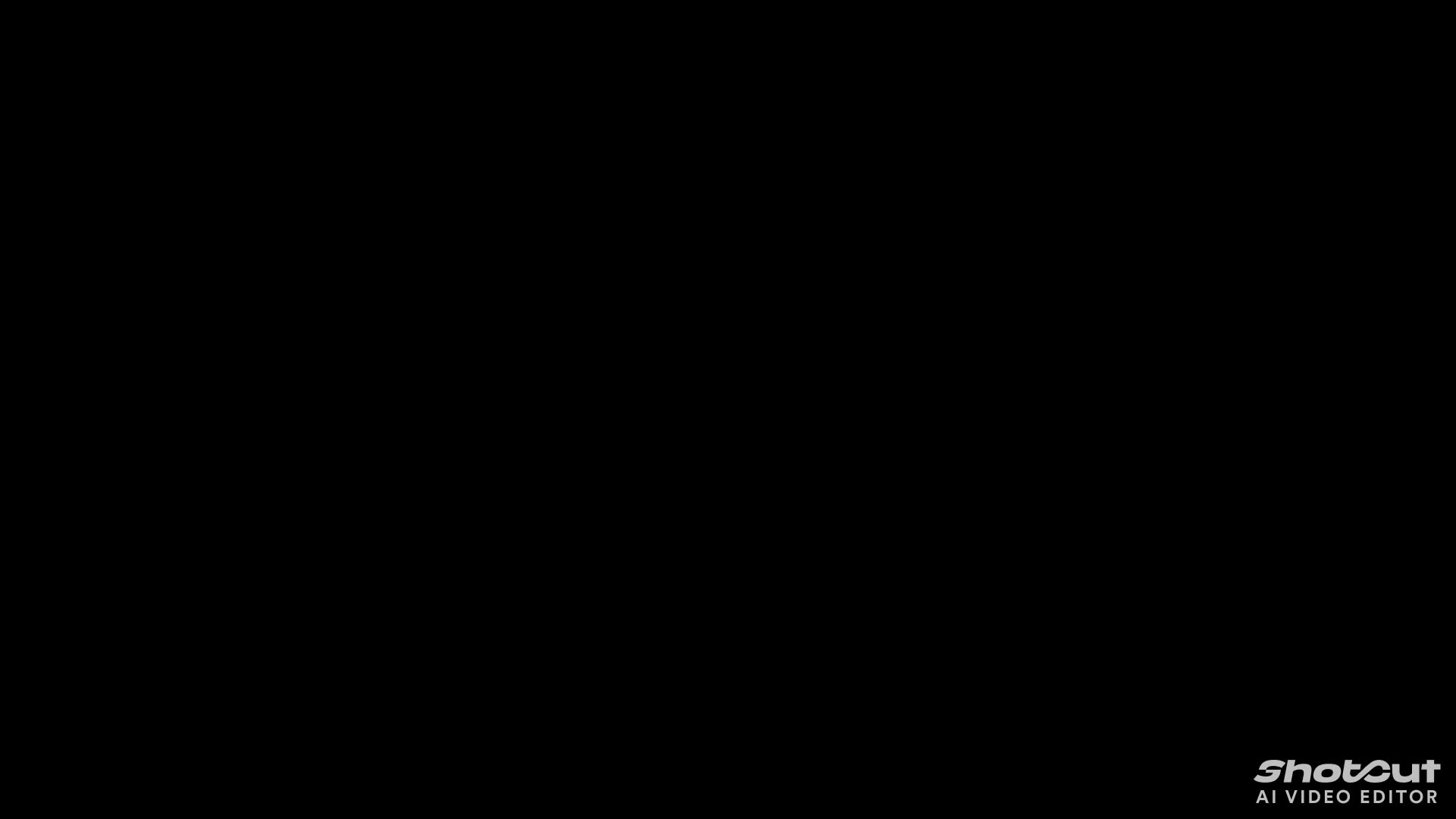 Hollywood Searchlight Network (Prisma3D)