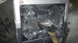 Bajo jajo w wiadomościach Bajo jajo w wiadomościach