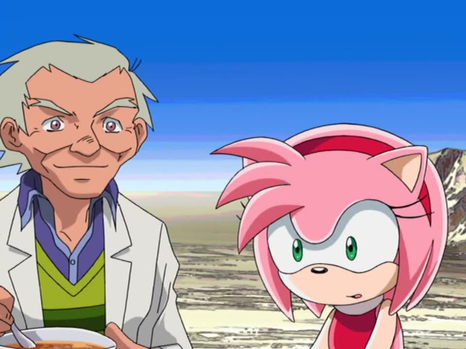 Sonic X Episode 24 Sonic Goes Wild Strategic Capture Operation Uncut English Edition