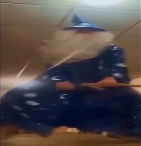 Wizzy Rizzy Dance