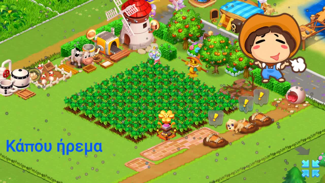 Afternoon relax 😁