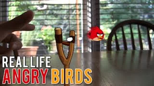 Real Life Angry Birds