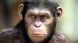 Rise of the Planet of the Apes (Review) - We Create it, It Kills Us. Rise of the Planet of the Apes (Review) - We Create it, It Kills Us.