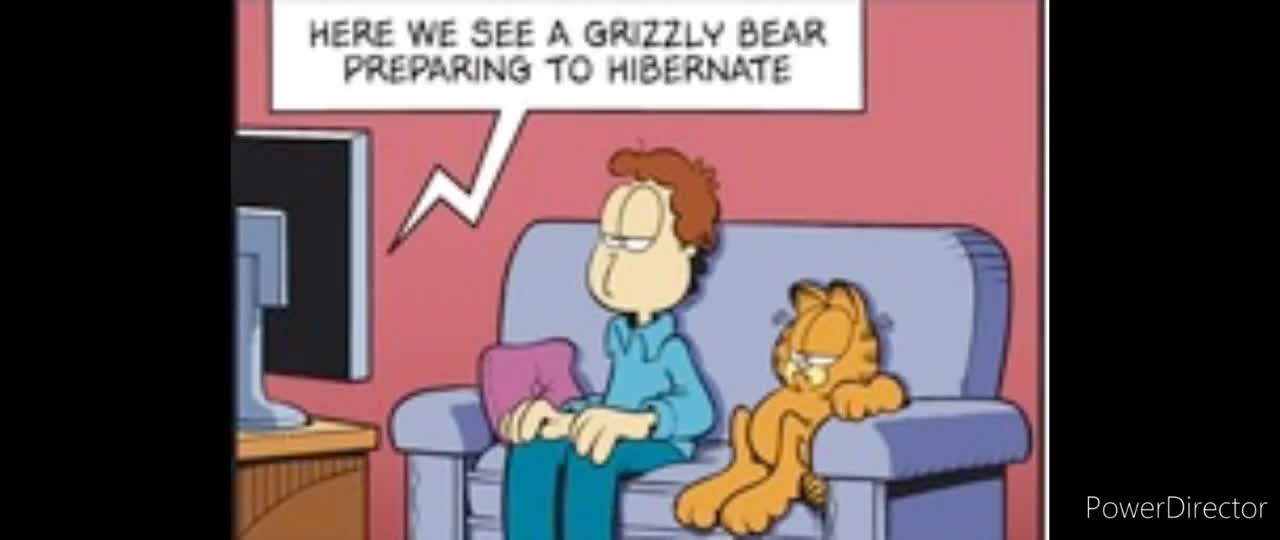2025_02_23 Garfield Comic Dub